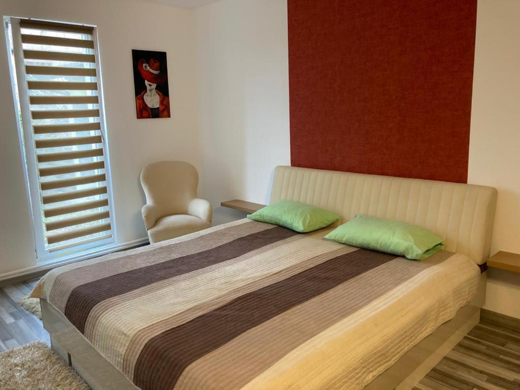 Edit House Apartment Târgu-Mureş 외부 사진