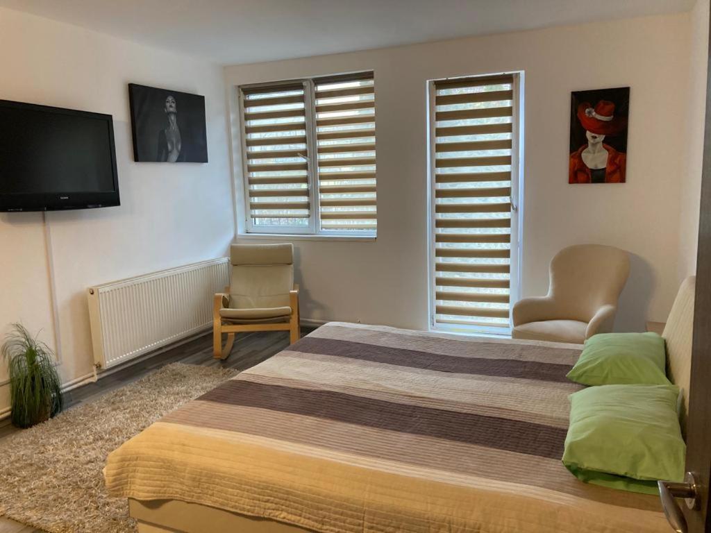 Edit House Apartment Târgu-Mureş 외부 사진