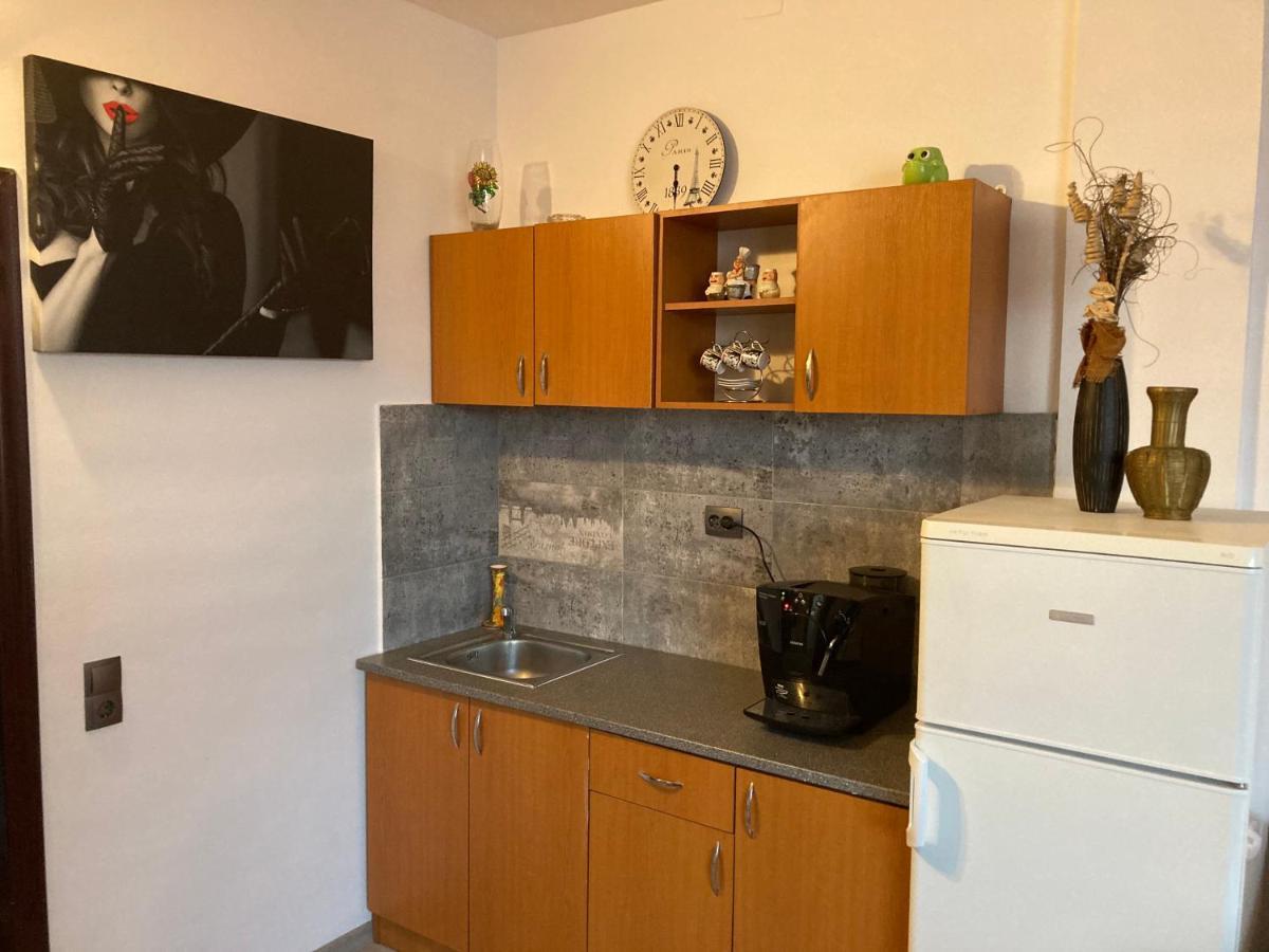 Edit House Apartment Târgu-Mureş 외부 사진