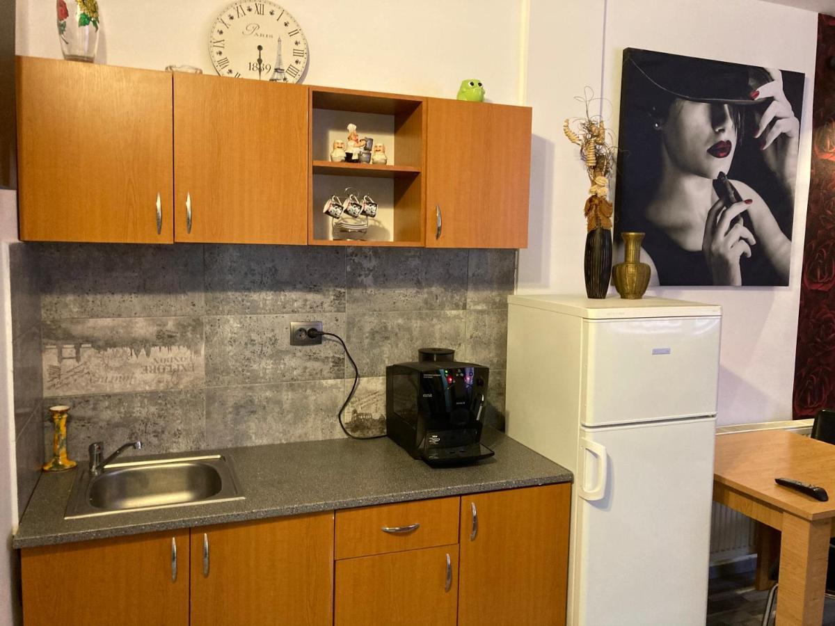 Edit House Apartment Târgu-Mureş 외부 사진