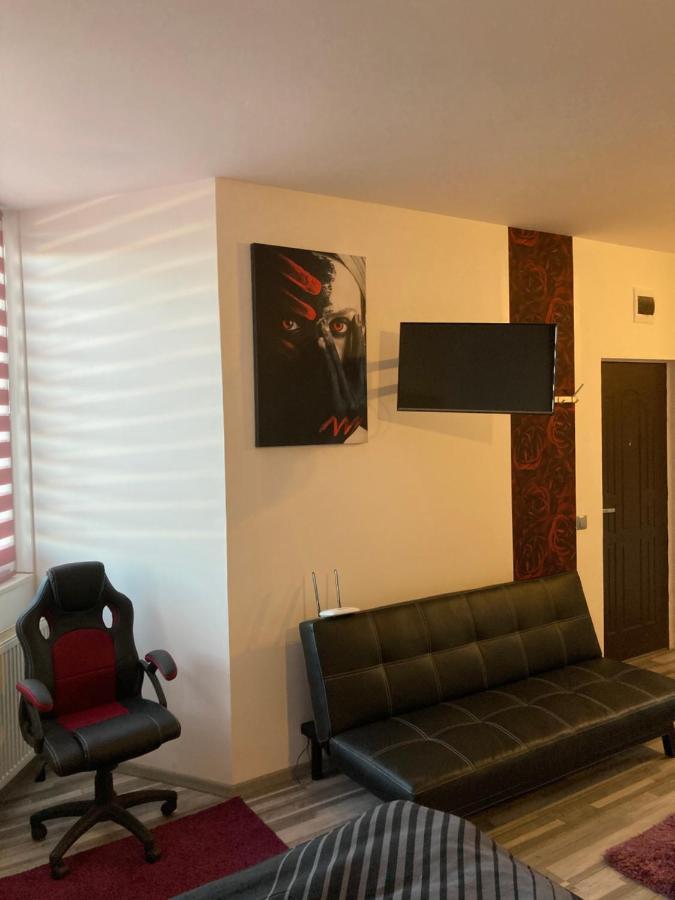 Edit House Apartment Târgu-Mureş 외부 사진