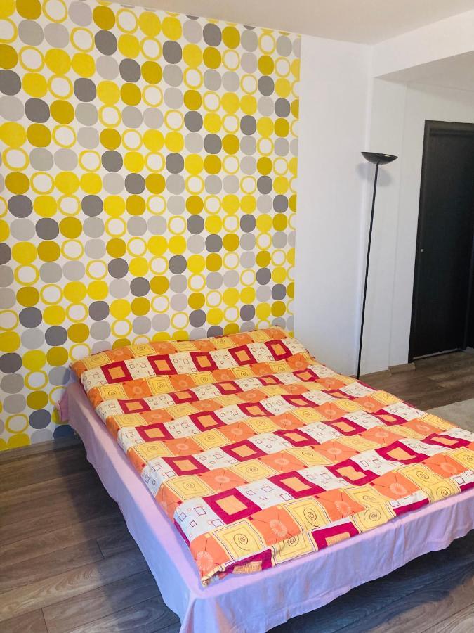 Edit House Apartment Târgu-Mureş 외부 사진