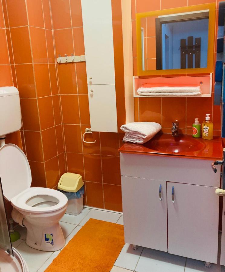 Edit House Apartment Târgu-Mureş 외부 사진